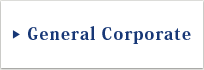General Corporate